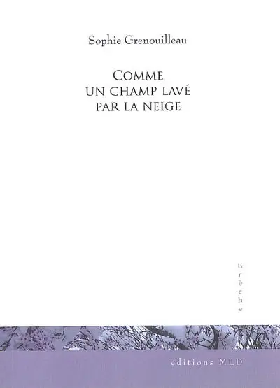 Comme un champ lavé par la neige