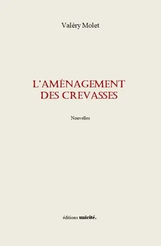 L'aménagement des crevasses