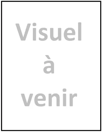Le pont du Rhône à Lyon : oeuvre et fabrique, des origines à la Renaissance