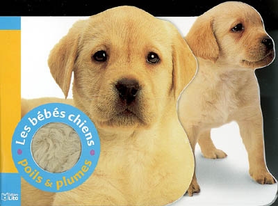 Les bébés chiens