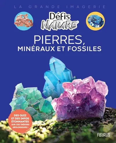 Pierres, minéraux et fossiles