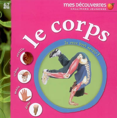 Le corps : oreille, crâne, main, dent