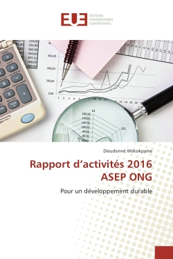 Rapport d'activités 2016...