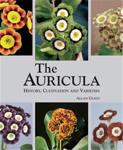The Auricula History Cultivation and Varieties