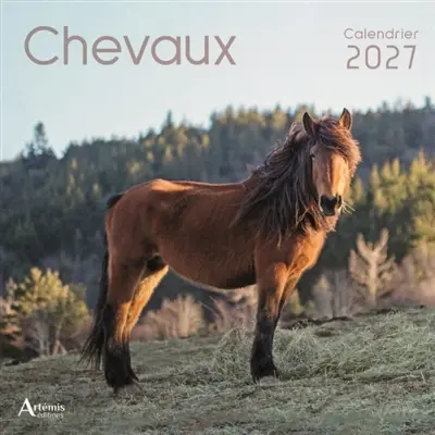 Chevaux : calendrier 2027