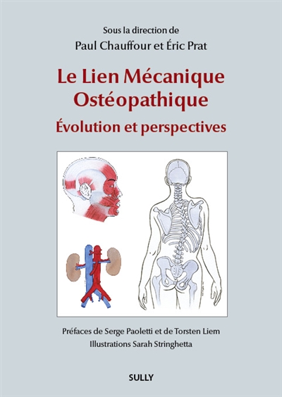 Le lien mécanique ostéopathique : évolution et perspectives