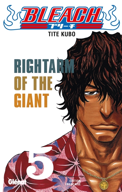 bleach. vol. 5. rightarm of the giant