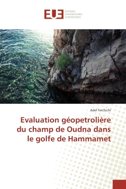 Evaluation géopetrolière du...