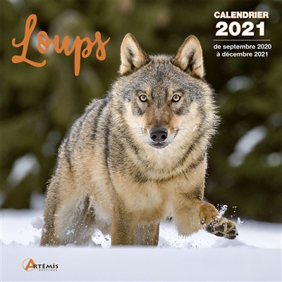 Loups : calendrier 2021 : de septembre 2020 à décembre 2021