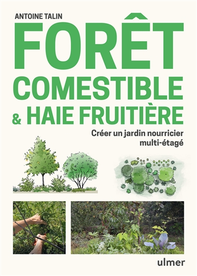 Forêt comestible & haie fruitière : créer un jardin nourricier multi-étagé
