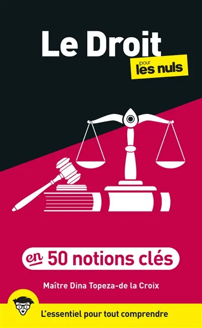 Le droit pour les nuls : en 50 notions clés : l'essentiel pour tout comprendre Le droit pour les nuls : en 50 notions clés : l'essentiel pour tout comprendre