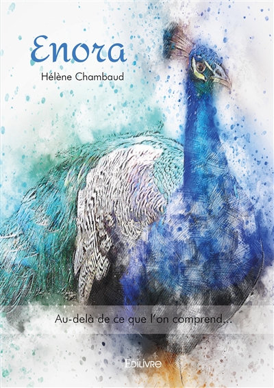 Enora : Au-delà de ce que l’on comprend…