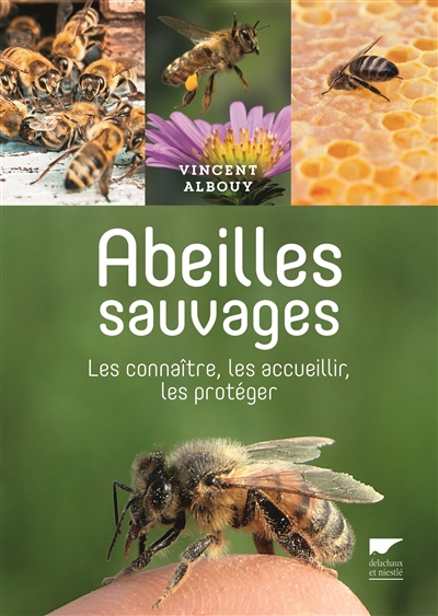 abeilles sauvages : les connaître, les accueillir, les protéger