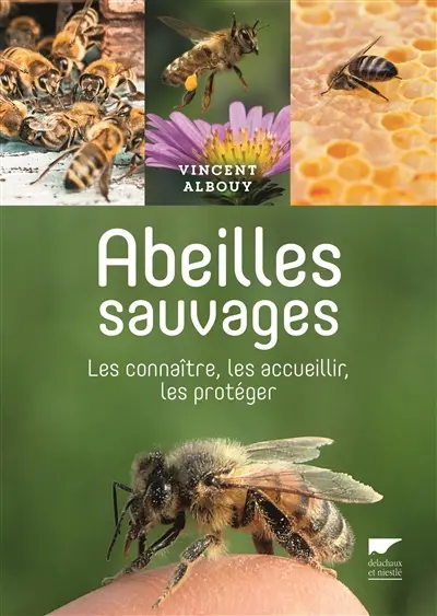 Abeilles sauvages : les connaître, les accueillir, les protéger