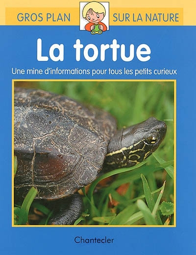 Gros plan sur la nature : la tortue