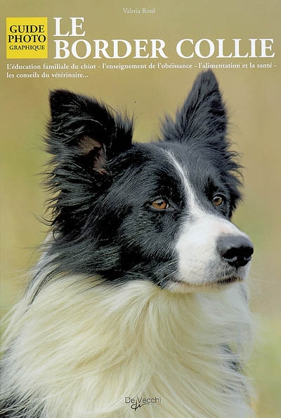 Le border collie