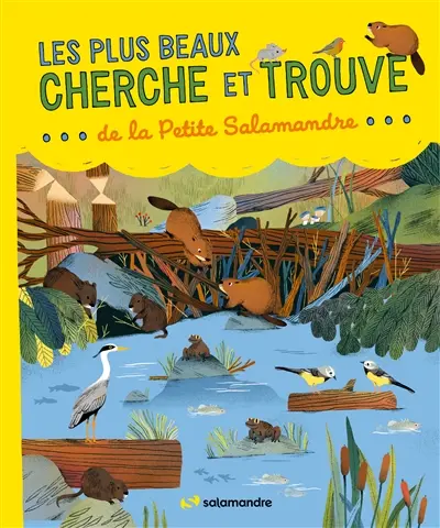 Les plus beaux cherche et trouve de la Petite Salamandre