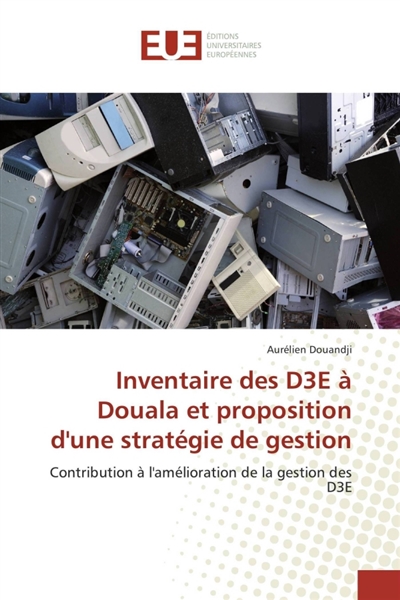 Inventaire des D3E à Douala...