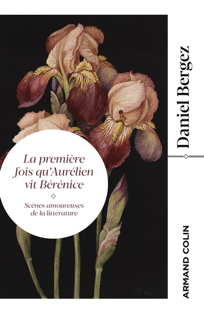 La première fois qu'Aurélien vit Bérénice : scènes amoureuses de la littérature