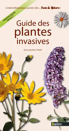 Guide des plantes invasives : reconnaître ces plantes qui nous envahissent !