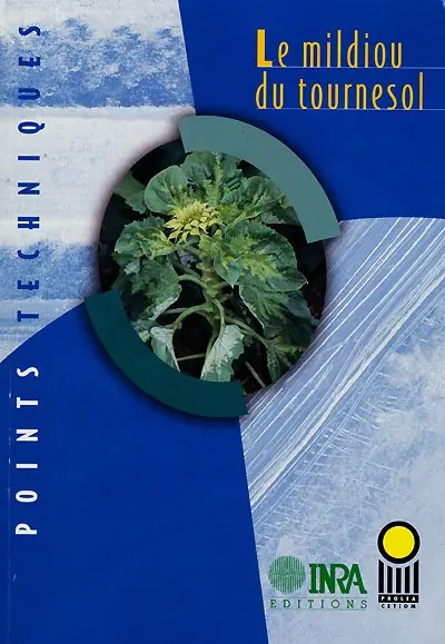 Le mildiou du tournesol