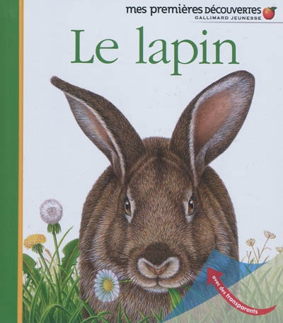 Le lapin