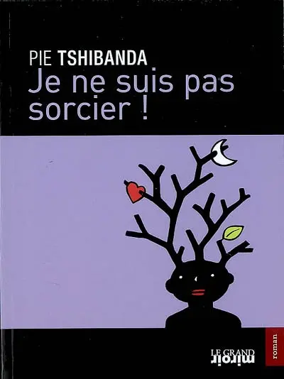 Je ne suis pas sorcier !