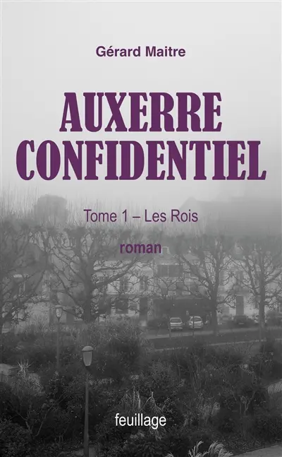 Auxerre confidentiel. Vol. 1. Les rois