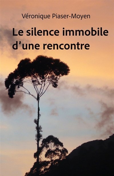 Le Silence immobile d'une rencontre
