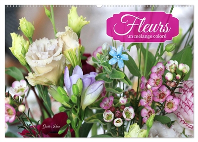 Fleurs : un mélange coloré...