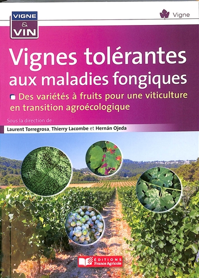 Vignes tolérantes aux maladies fongiques : des variétés à fruits pour une viticulture en transition agroécologique