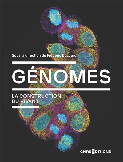 Génomes : la construction...
