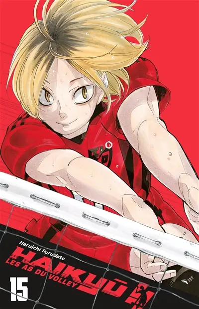 Haikyu !! : les as du volley : smash édition. Vol. 15