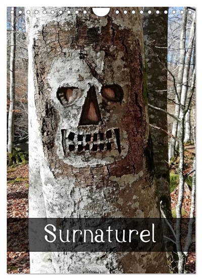 Surnaturel (Calendrier...