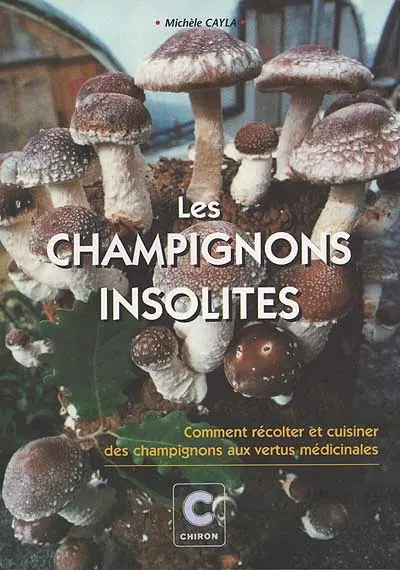 Les champignons insolites : comment récolter et cuisiner des champignons aux vertus médicinales