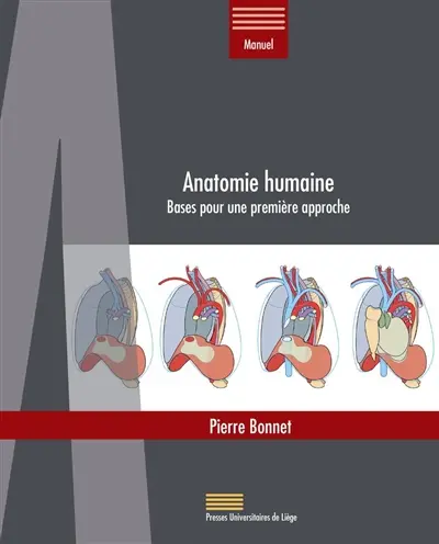 Anatomie humaine : bases pour une première approche