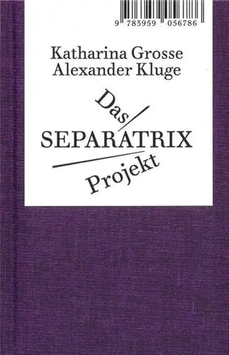 Alexander Kluge/Katharina Grosse Das SEPARATRIX Project