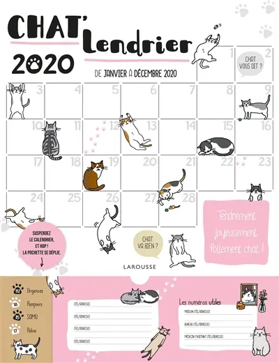 Chat'lendrier 2020 : de janvier à décembre 2020