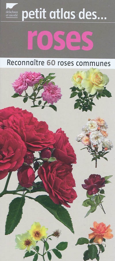 Petit atlas des roses : reconnaître 60 roses communes
