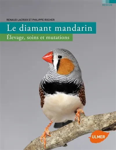 Le diamant mandarin : élevage, soins et mutations