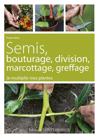 Semis, bouturage, division, marcottage, greffage : je multiplie mes plantes