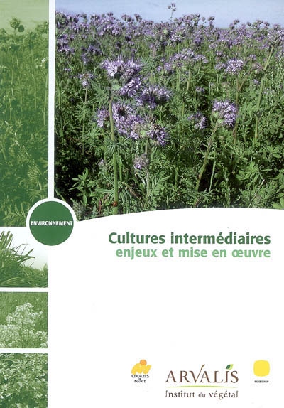 Culture intermédiaires : enjeux et mise en oeuvre