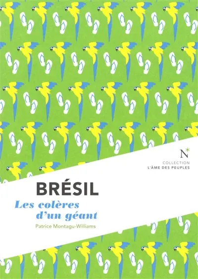 Brésil : les colères d'un géant Brésil : les colères d'un géant
