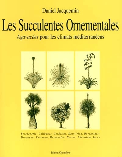 Succulentes ornementales : Agavacées pour les climats méditerranéens