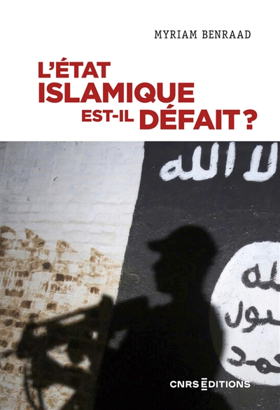 L'Etat islamique est-il défait ?