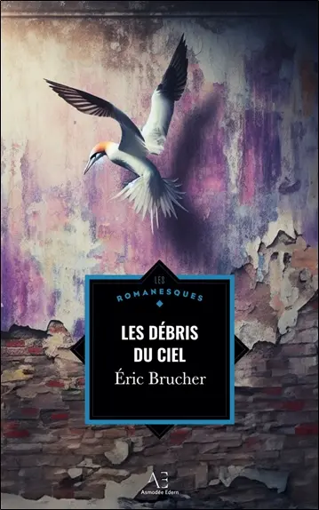 Les Débris du ciel