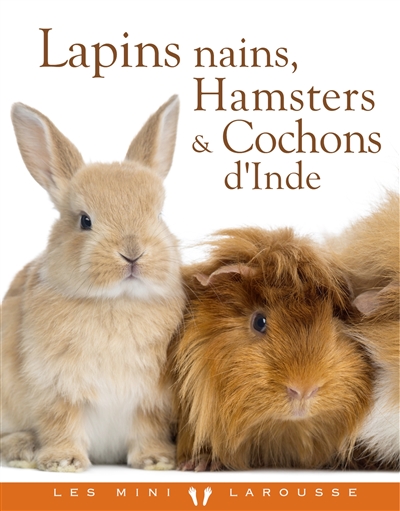 Lapins nains, hamsters & cochons d'Inde