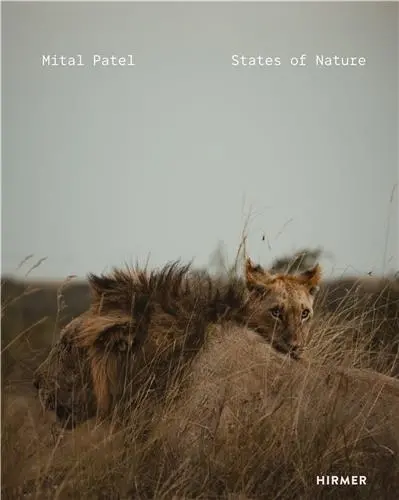 Mital Patel States of Nature