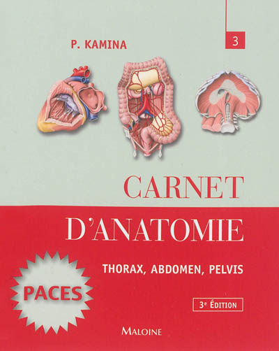Carnet d'anatomie. Vol. 3. Thorax, abdomen, pelvis