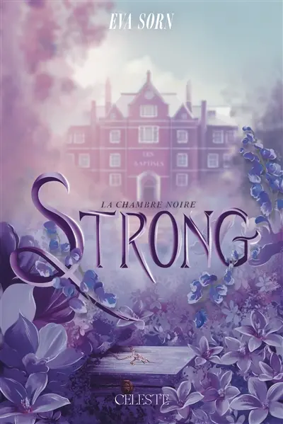 Strong. Vol. 1. La chambre noire